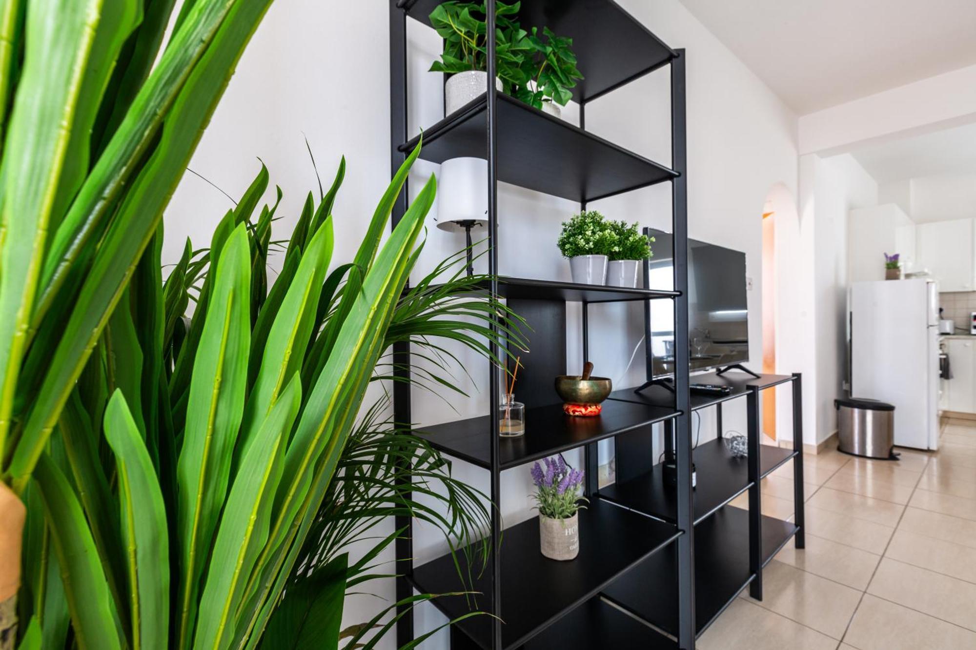 Beautiful 2 Bed Apartment In Paphos Cyprus المظهر الخارجي الصورة